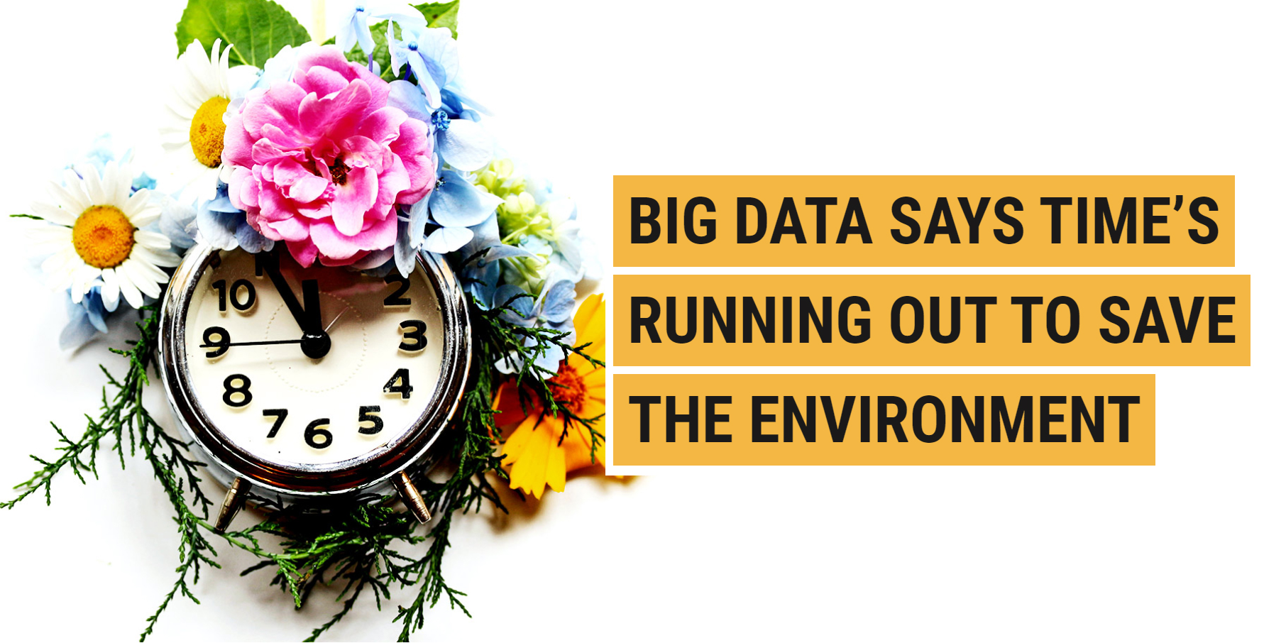 Big Data says time’s running out to save the Environment