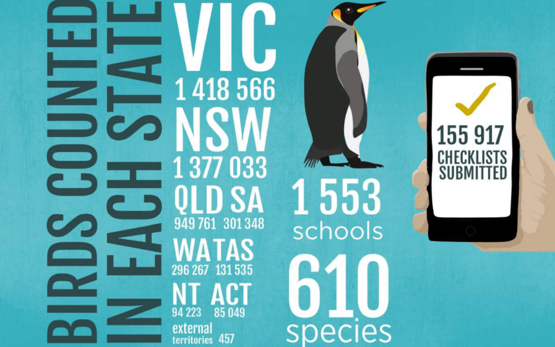 2020 Aussie Backyard Bird Count results